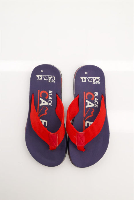 Men Strider Blue Flip Flop