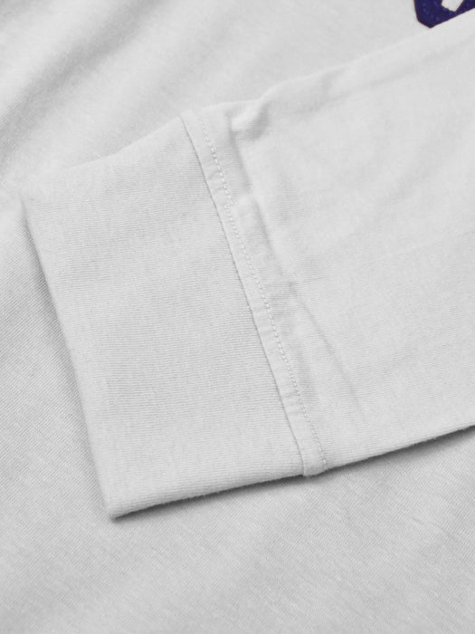 U.S Polo Assn. Long Sleeve Polo Shirt For Men-Blue & Grey-BR1118