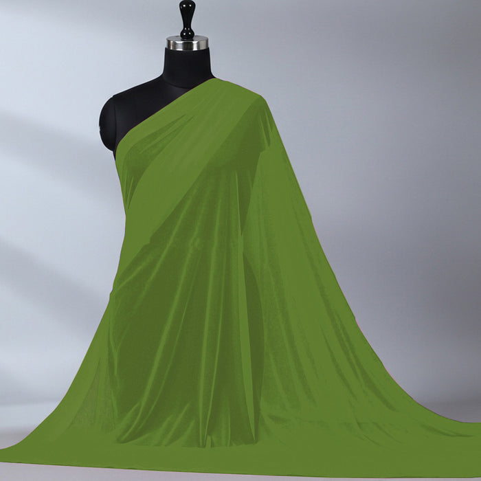 Imported Net Dupatta-Light Green