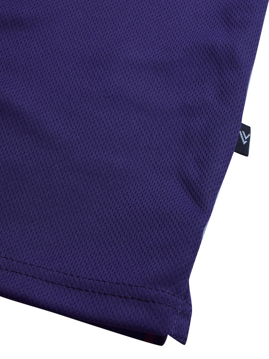 LV Summer Active Wear Polo Shirt For Men-Dark Purple with Stripe-BR13805