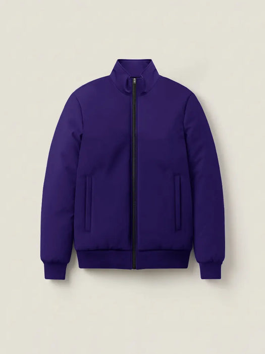 Stylish Winter Zipper Mockneck Jacket For Men-Royal Blue-BRPH11