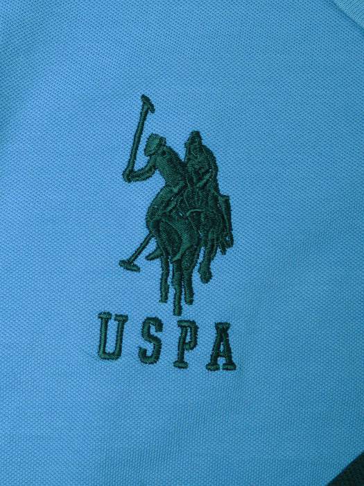 U.S Polo Summer Polo Shirt For Men-Sky Faded with Green Panel-BR13140