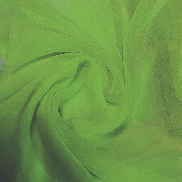 Imported Net Dupatta-light green