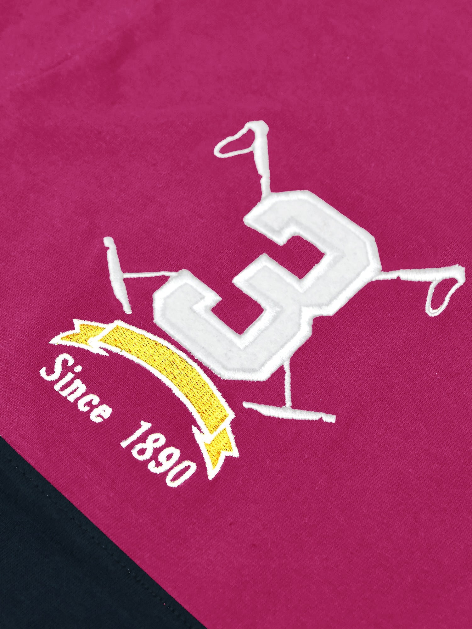 U.S.P.A Polo Shirt For Men-Magenta & Navy-RT49