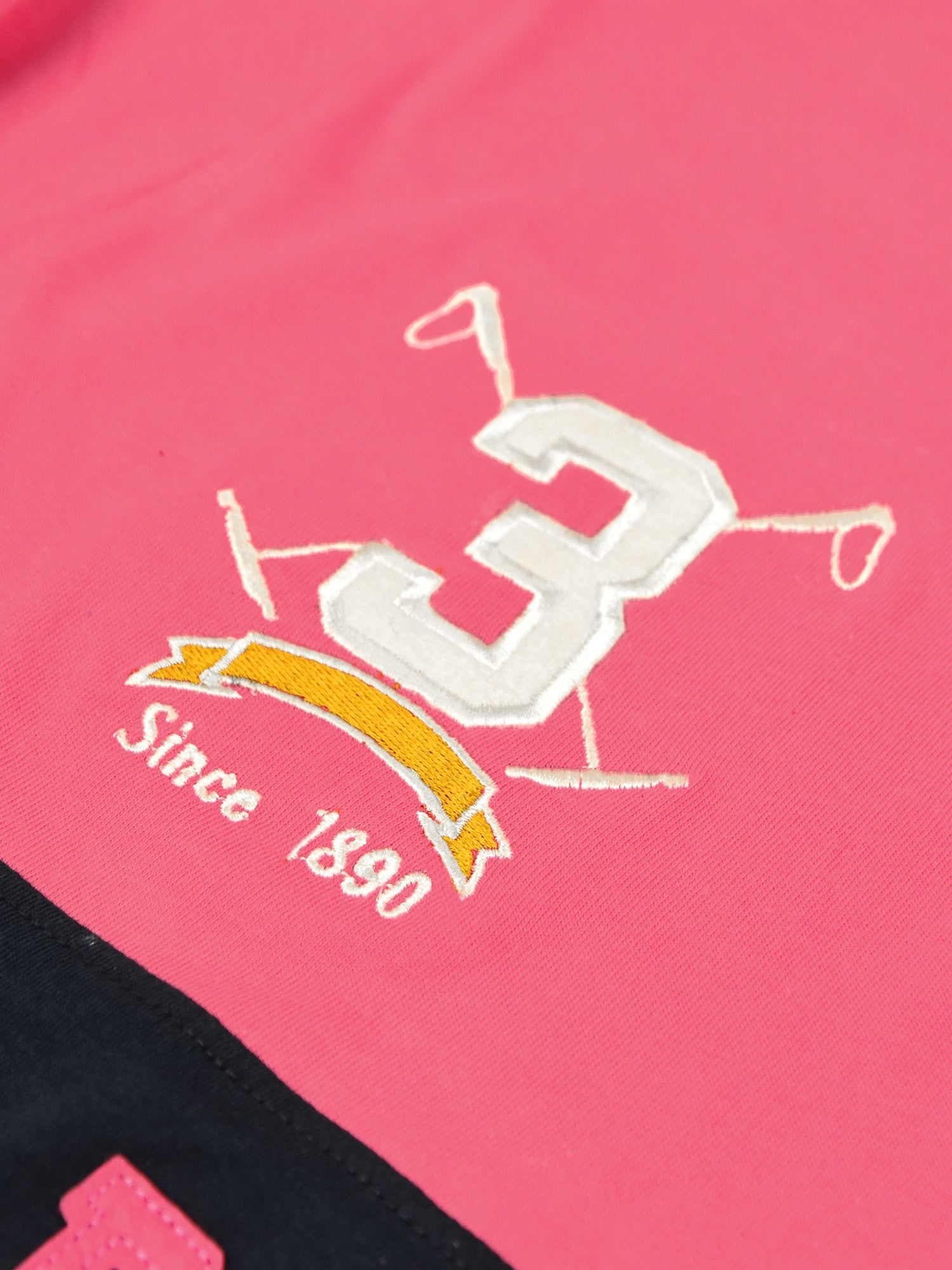 U.S.P.A Long Sleeve Polo Shirt For Men-Pink & Navy-BE16870