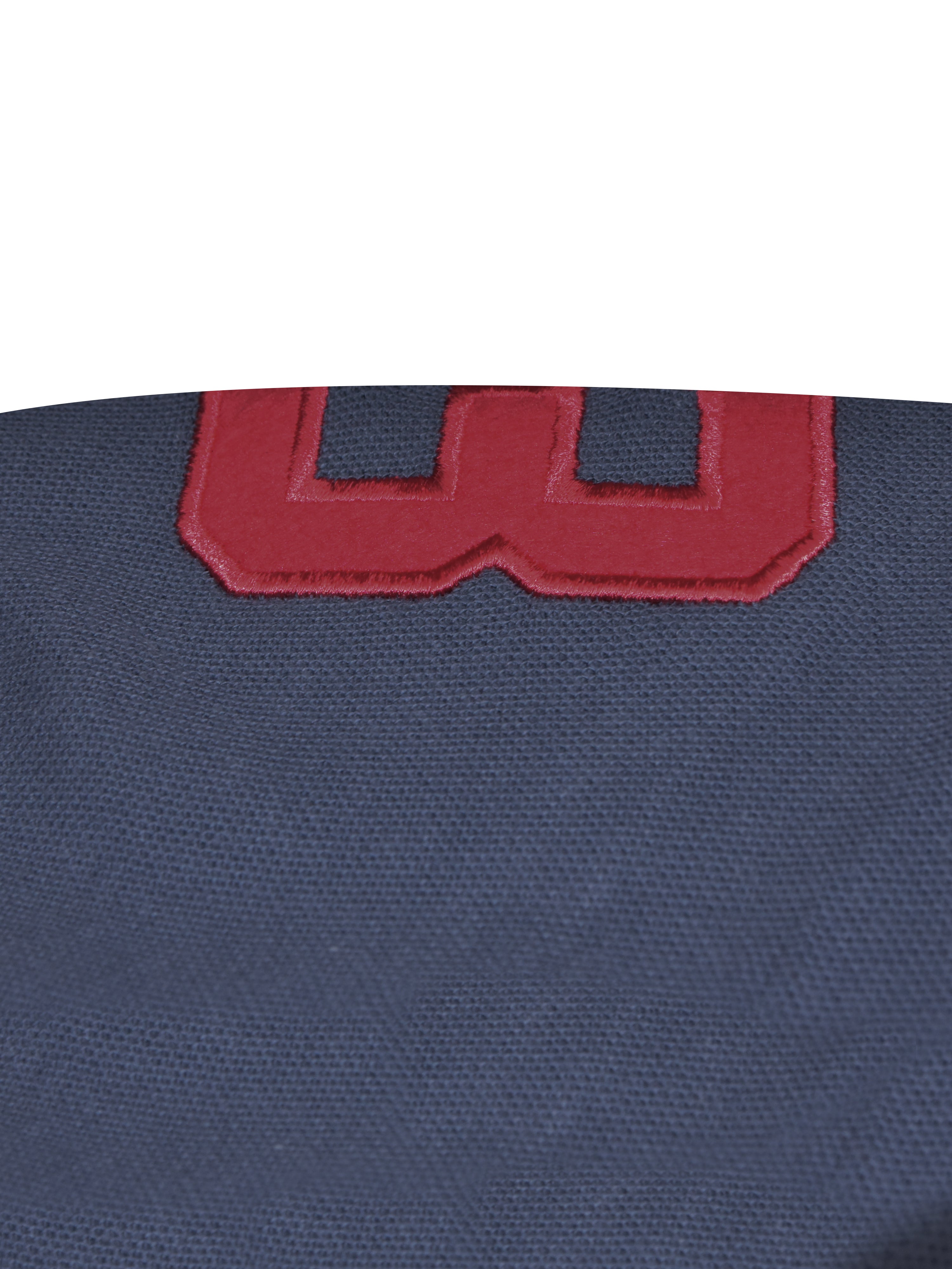 U.S.P.A Stylish Pique Summer Polo For Men-Slate Blue with Black Panel & Red Stripe-RT788